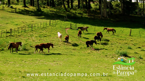 INICIO INICIO.00_03_41_13.Quadro042_5a2f57164fa3563a32d8a7f66b361a77c734322e.jpg